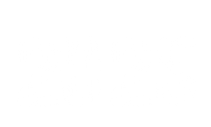 2025